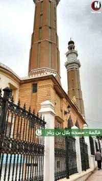 أرض-بيع-قالمة-الجزائر