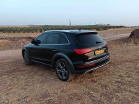 voitures-audi-q5-2014-offroad-algerie