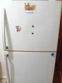 Réfrigérateur (Grand modèle )