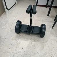 Hoverboard prifisyonal 