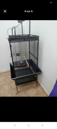 أكسسوارات-للحيوانات-cage-perroquet-القليعة-تيبازة-الجزائر