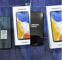 smartphones-samsung-galaxy-f13-khenchela-algerie