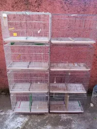 Cages de separation
