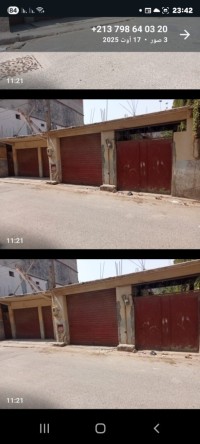 أرض-بيع-الجزائر-الكاليتوس