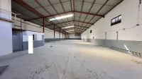 Location Hangar Blida Ouled el alleug
