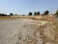 أرض-كراء-البليدة-الجزائر