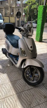 Sim Fidal 3 2024