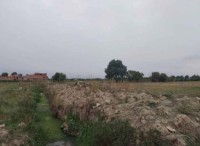 land-sell-blida-ben-khellil-algeria