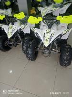 motos-scooters-vms-quad-raptor-110cc-2024-boumerdes-algerie