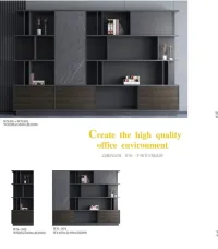 BUREAU DIRECTIONNEL LIMITED
