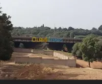 Location Terrain Alger Staoueli