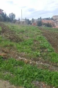 أرض-بيع-بومرداس-الأربعطاش-الجزائر