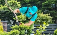 Jardinage