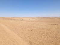 terrain-agricole-vente-tiaret-sougueur-algerie