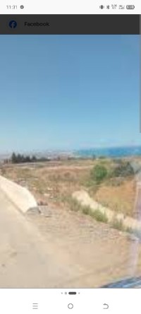 terrain-vente-alger-ain-benian-algerie