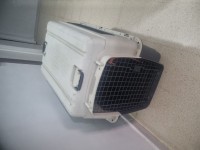 أكسسوارات-للحيوانات-cage-pour-chiens-xl-زرالدة-الجزائر