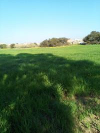 أرض-فلاحية-بيع-مستغانم-الحسيان-الجزائر