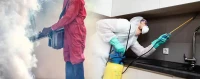 Dératisation et désinsectisation 