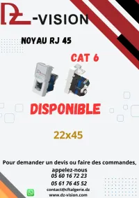 panneau de brassage et noyau rj45 DZ-VISION