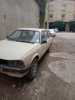 voitures-peugeot-505-1990-birtouta-alger-algerie