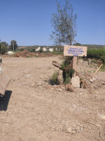 terrain-vente-tipaza-attatba-algerie