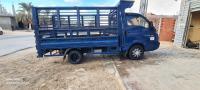 camion-h100-hyundai-2011-reguiba-el-oued-algerie