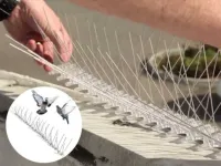 Pic anti pigeon 