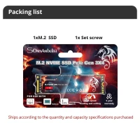 Somnambulist ssd nvme M2 128gb
