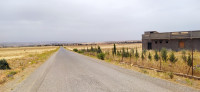 terrain-agricole-vente-medea-el-guelbelkebir-algerie