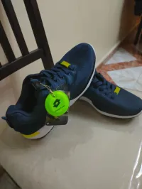 Basket lotto