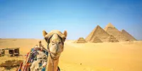 Visa Egypte (Sticker)