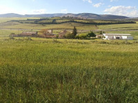 terrain-agricole-vente-constantine-ain-abid-algerie