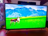 Tv Fennec 32pouce