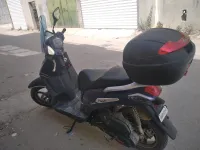vms vms flach 2022