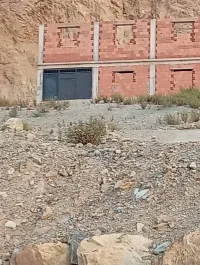 Vente Terrain Blida Bougara