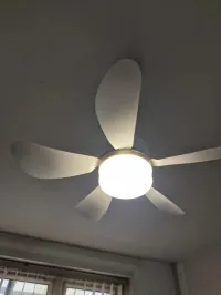 Ventilateurs de plafond 