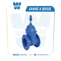VANNE OPERCULE