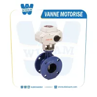 VANNE PAPILLON MOTORISE