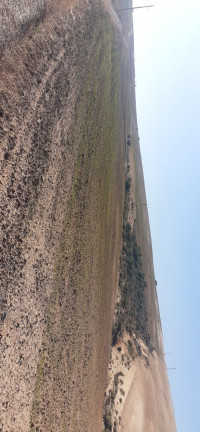 terrain-agricole-vente-ain-temouchent-chentouf-algerie