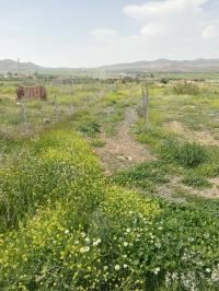 أرض-بيع-باتنة-بومية-الجزائر