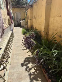 Vente Villa Alger Hussein dey