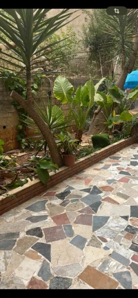 Vente Terrain Alger Kouba