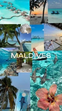 LES MALDIVES