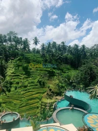 voyage organisé INDONESIA