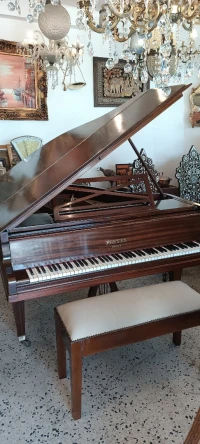 Piano Pleyel à queue crapaud