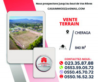 terrain-vente-alger-cheraga-algerie