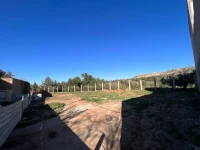 Vente Terrain Tlemcen Mansourah