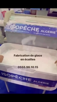 Machine fabrique de glace en écailles pour pêcheries