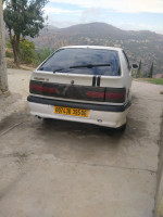 voitures-renault-19-1995-amizour-bejaia-algerie