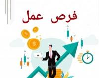 commercial-marketing-عمل-عن-بعد-alger-centre-algerie